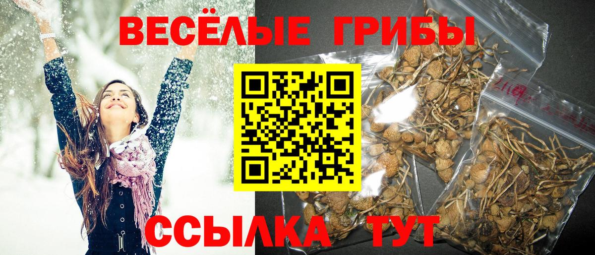 Псилоцибиновые грибы MAGIC MUSHROOMS Нижний Тагил